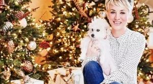 Коледните елхи на звездите