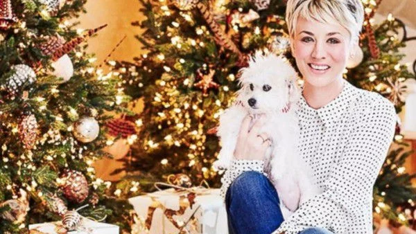 Коледните елхи на звездите