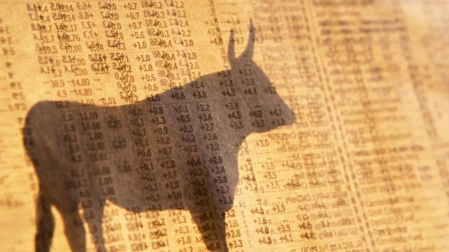 Не особено активна търговия и оборот от едва 226 хил. лв. на БФБ