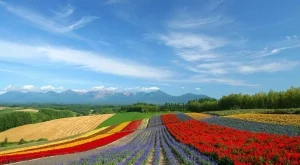 30 невероятни места, които да посетите през 2015 