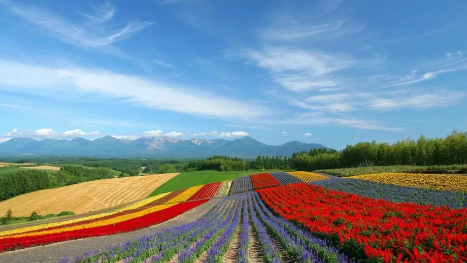 30 невероятни места, които да посетите през 2015 