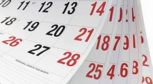 Какво научих от тази година?