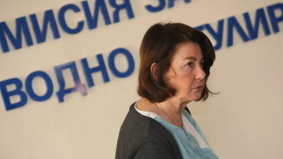 Тодорова: Не знам дали токът ще поскъпне 