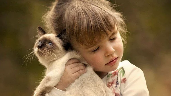 Моля ви, не правете деца...