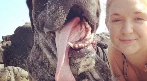 Приключенията на едно момиче и нейното умиращо куче