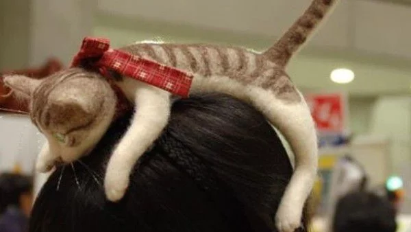 Бихте ли носили: Диадема с котка?