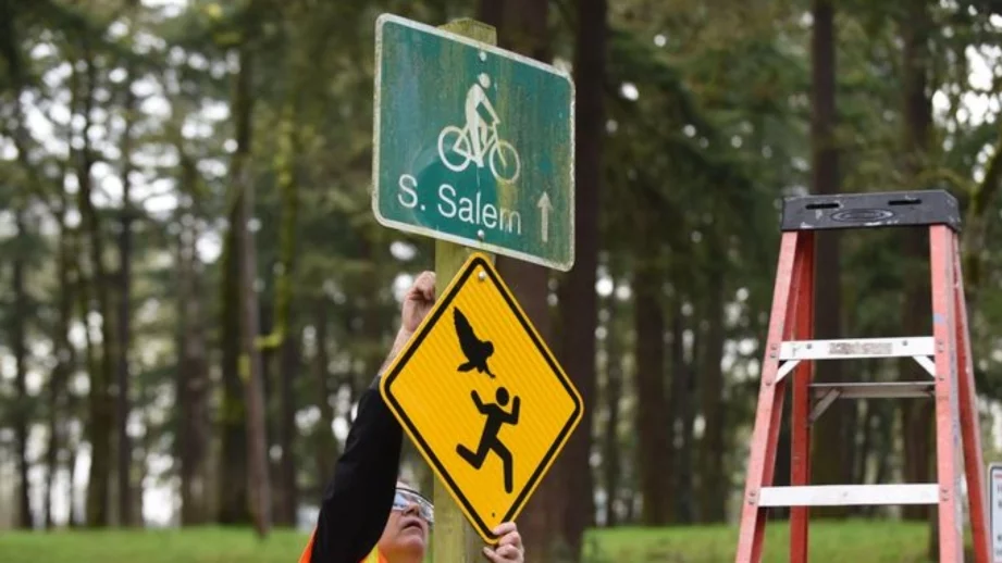 Град сложи предупредителни знаци заради зла сова