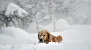 2015/02/13/0882515001423810175