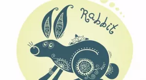 Ето каква ще бъде Годината на Водния Заек