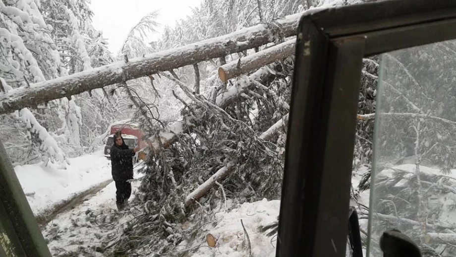 При бедствие работещите имат право на обезщетение и платен отпуск 