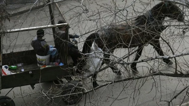 Масово извозвали роми да гласуват в село Микрево