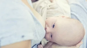 Тайната на кърмата