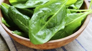 Яденето на спанак подмладява мозъка