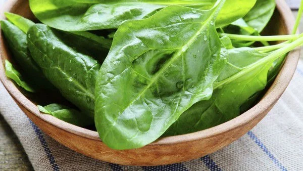 Яденето на спанак подмладява мозъка