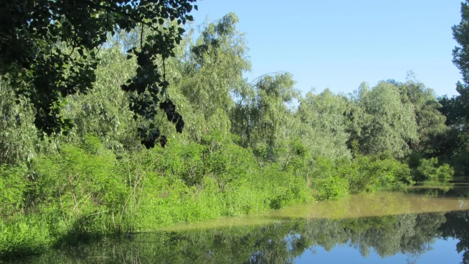 Звукът от планински поток увеличава производителността в офиса