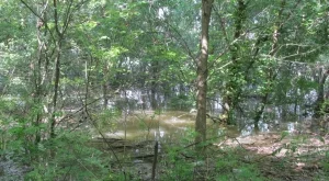 2015/04/08/0215186001428492508