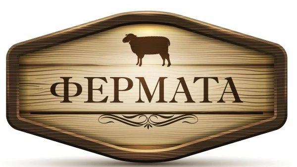 100 000 лв. за приключение 100 години назад във времето