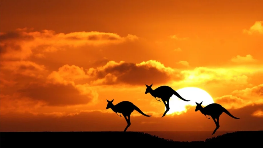 Австралийският долар спадна преди решението на Австралийската централна банка