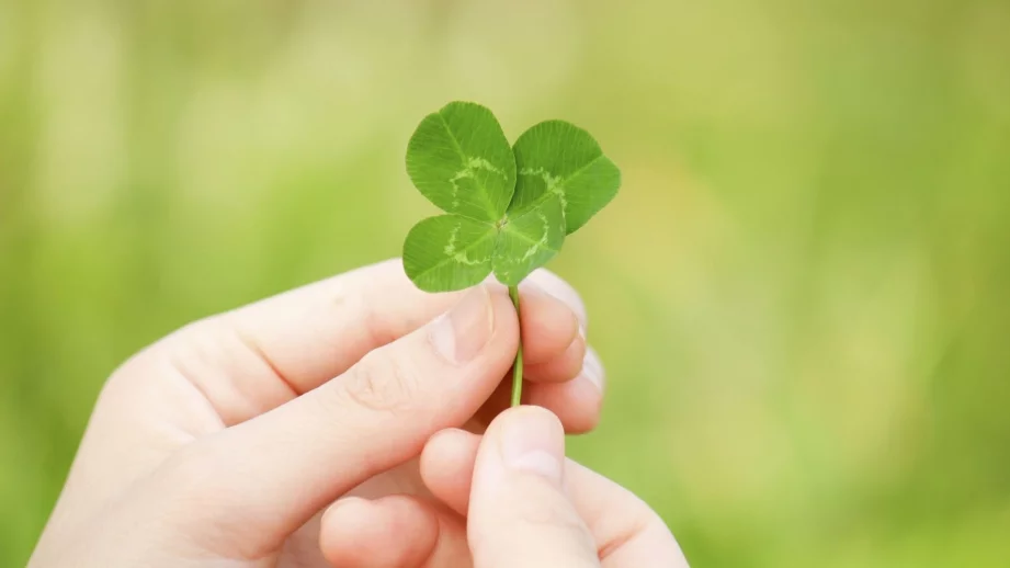 9 неща, които е по-вероятно да се случат, отколкото да спечелиш лотарията