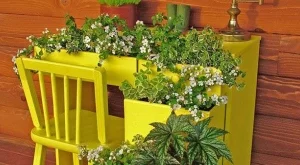 5 идеи за интересни саксии