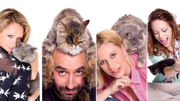    7 причини да ваксинирам котката си