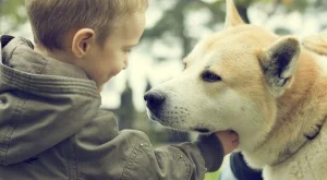 Домашният любимец - най-добрият отдушник за децата