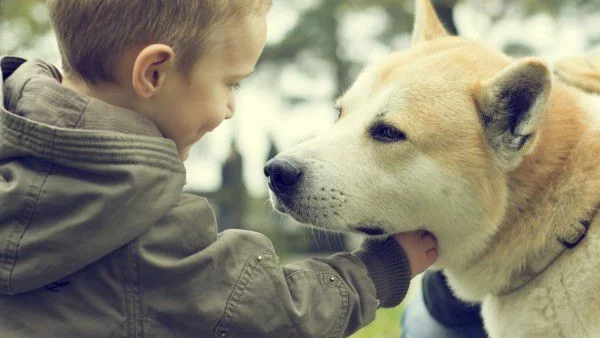 Домашният любимец - най-добрият отдушник за децата