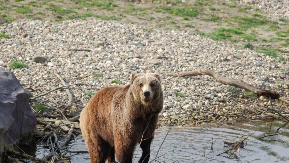 Пореден гаф: Министерството на туризма ни рекламира с американски снимки