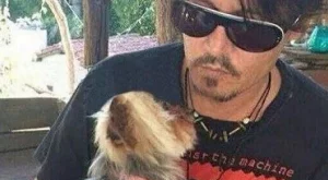 Джони Деп си навлече проблеми заради кучетата си