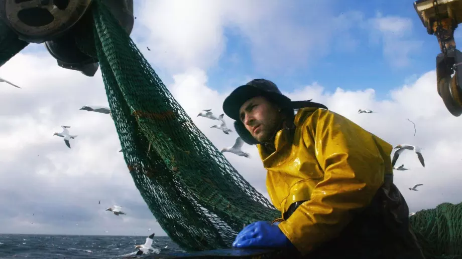 МЗХГ прави схема за подпомагане на сектор „Рибарство”  
