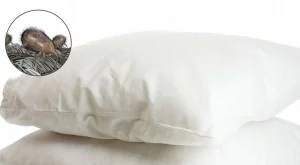 Защо е важно да се грижим добре за възглавницата си?