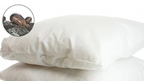 Защо е важно да се грижим добре за възглавницата си?