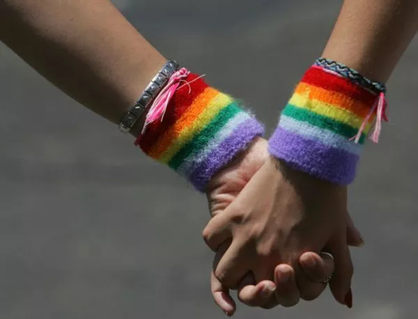 Ирландия гласува на референдум за гей браковете 