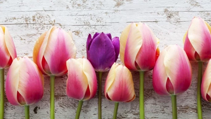 Вземи си късметче за МАРТ. Избери си число от 1 до 12...