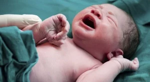 Отбелязваме Бабинден