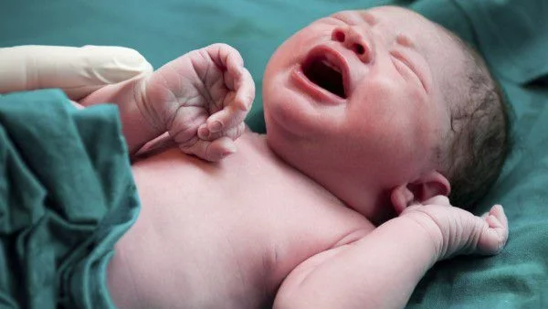 Отбелязваме Бабинден