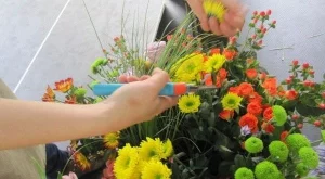 Фестивал на зелените идеи за деца и любители на цветя