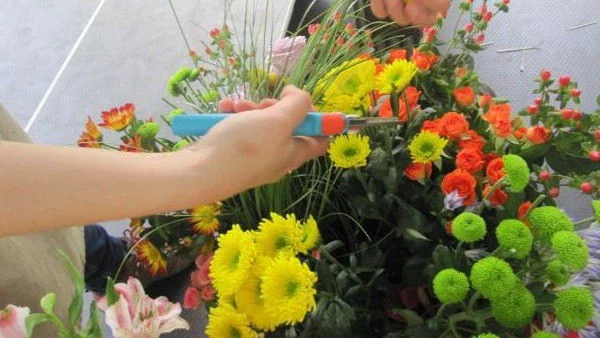 Фестивал на зелените идеи за деца и любители на цветя