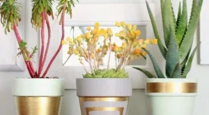 6 идеи как да украсиш керамична саксия