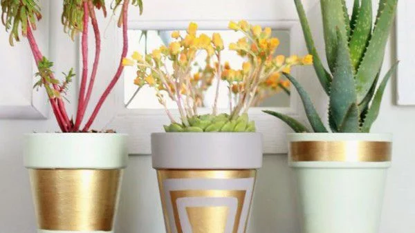 6 идеи как да украсиш керамична саксия