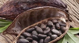 10 древни зърна, които трябва да намерят място в менюто ви