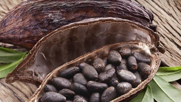 10 древни зърна, които трябва да намерят място в менюто ви