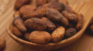 10 причини да ядем какаови зърна