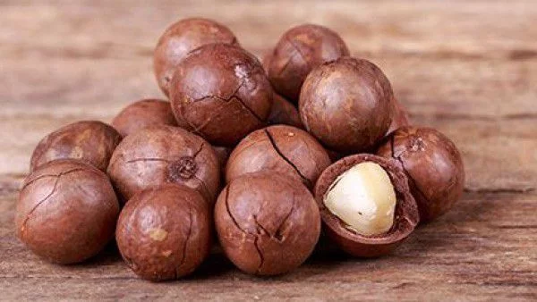 Макадамия - изумителният еликсир за коса