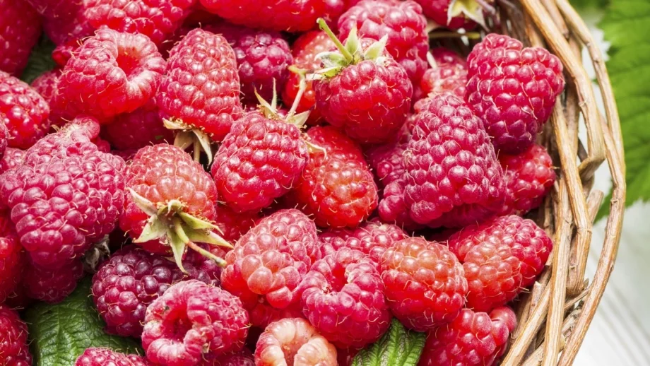 Китайски холдинг иска да си партнира с родни производители на малини