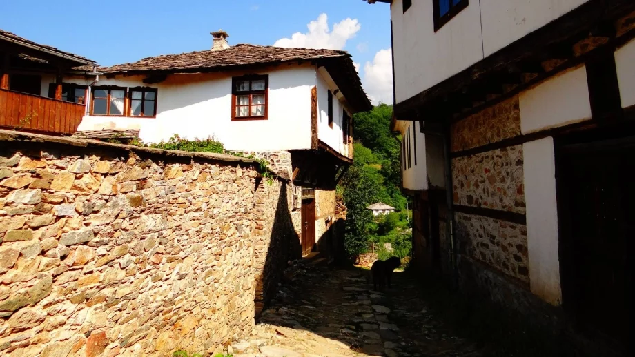 Селският туризъм в България добива все по-голяма популярност