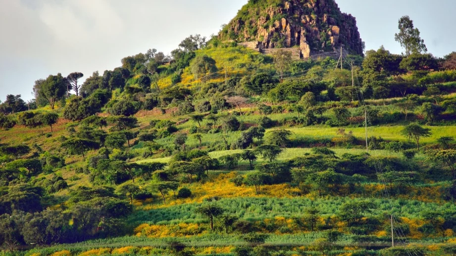 13-те най-бързо растящи икономики в света 