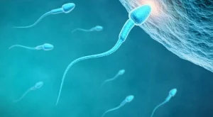 20 неща, които трябва да знаете за спермата