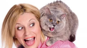 Как да се подготвим преди да вземем коте у дома в 10 стъпки