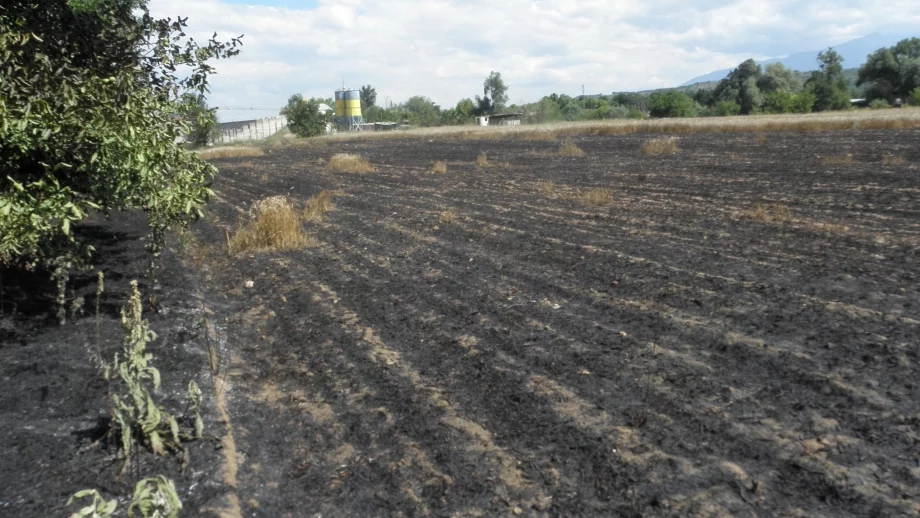 Няма да се допуска промяна на предназначението на земеделски земи за неземеделски цели